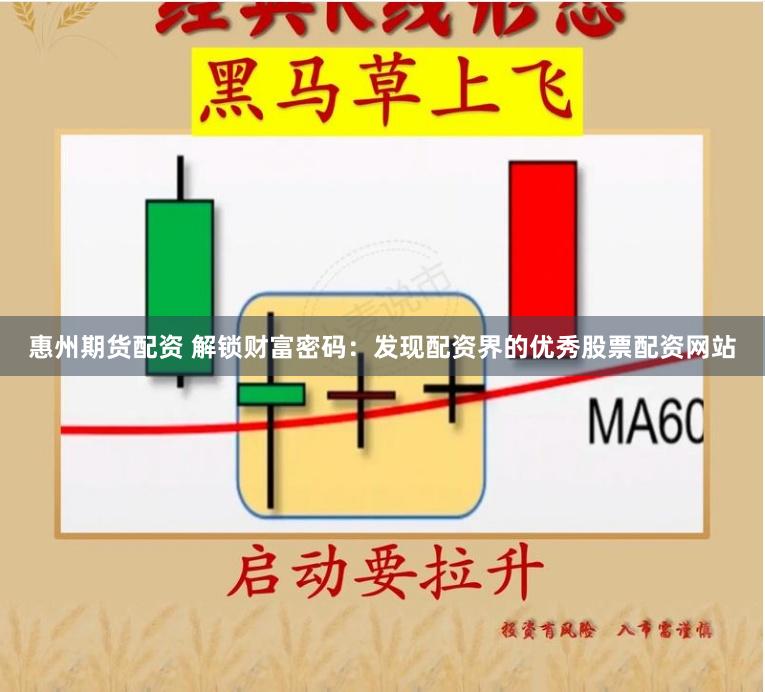 惠州期货配资 解锁财富密码：发现配资界的优秀股票配资网站