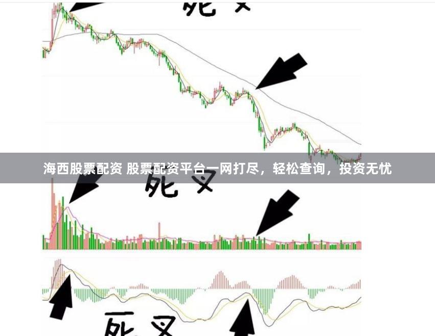 海西股票配资 股票配资平台一网打尽，轻松查询，投资无忧